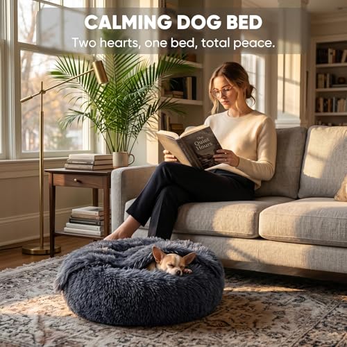 Himax Dog Beds for Small Dogs, Donut Dogs Beds with Blanket Attached, Calming Dog Bed Washable (20"/26"/35") Grey - color: Grey, size: 20.0"L x 20.0"W x 7.0"Th