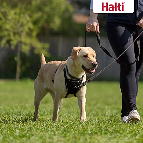 Halti No Pull Harness & Halti Training Leash Size Large, Black Combination Pack - Stop Your Dog Pulling on The Leash. Adjustable, Lightweight and Easy to Use. Suitable for Large Dogs - size: Large