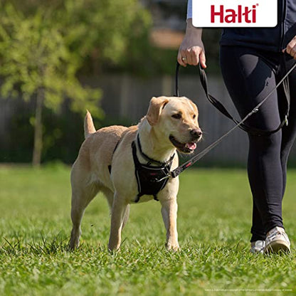 Halti No Pull Harness & Halti Training Leash Size Large, Black Combination Pack - Stop Your Dog Pulling on The Leash. Adjustable, Lightweight and Easy to Use. Suitable for Large Dogs - size: Large