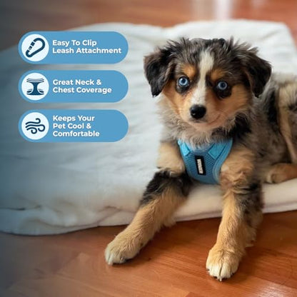 Best Pet Supplies Voyager Step-in Lock Pet Harness w Reflective Pet Leash Combo Set with Neoprene Handle 5ft - Supports Small, Medium and Large Breed Puppies/Cats - Baby Blue, XL - color: Harness Leash Set (Baby Blue), size: XL (Chest: 23 - 28")