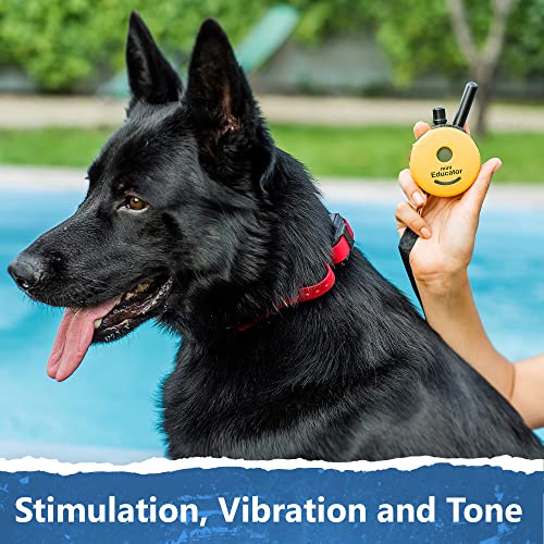 Educator ET-302 Mini E Collar for Dog Training with Remote - 1/2 Mile Range, Waterproof, 100 Blunt Stimulation Levels, Tone or Vibration Mode, Night Light for Small, Medium & Large Dogs (2 Dogs) - size: 2-Dog (ET-302)