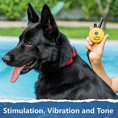 Educator ET-302 Mini E Collar for Dog Training with Remote - 1/2 Mile Range, Waterproof, 100 Blunt Stimulation Levels, Tone or Vibration Mode, Night Light for Small, Medium & Large Dogs (2 Dogs) - size: 2-Dog (ET-302)