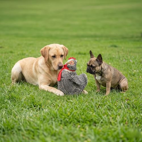 Fuzzl Plush Super Soft Big Cheeky Chuck Chicken Dog Toy & Comforter – Cuddly Plush with Squeaker, Gentle Dog Toy for Puppies & Small to Medium Dogs - style: Jumbo Chicken
