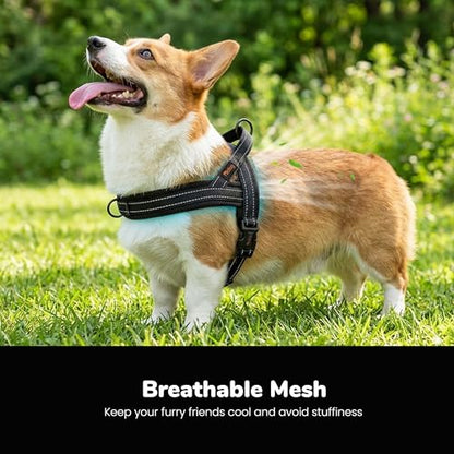Didog No Pull Dog Harness with Breathable Mesh Padded,Reflective & Quick Fit Light Weight Dog Strap Vest Harness,Easy for Walking Training (M:Chest 21-26", Mesh-Black) - color: Black, size: M: Chest 21-26", Fit 28-50 lbs