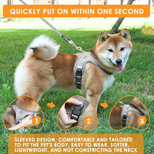 Dog Harness and Leash Set, No Pull Saddle Style Pet Harness, Breathable Mesh Adjustable Reflective Dog Vest for Medium Small Dogs Harness 2 D-Rings, Grey, S - color: Grey, size: S