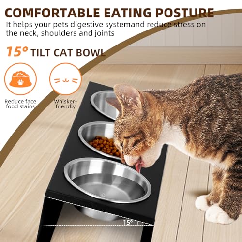 Elevated Cat Food Bowls [3 Pack] - 15° Tilted Stainless Steel, Anti-Vomit Raised Pet Feeder with Non-Slip Base, Ergonomic Whisker-Friendly Bowl Set for Indoor Cats & Kittens - size: Stainless Steel-3 Bowls