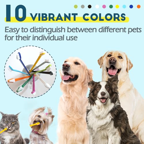 200 Pcs Dog Toothbrush Cat Tooth Brushes Bulk, Double Sided Brushing Kit, Teeth Cleaning Kit Soft Bristles Long Handle, Pet Tooth Brush for Small to Large Dog, Cat, Puppy & Kitten, 10 Colors - style: 200 pcs