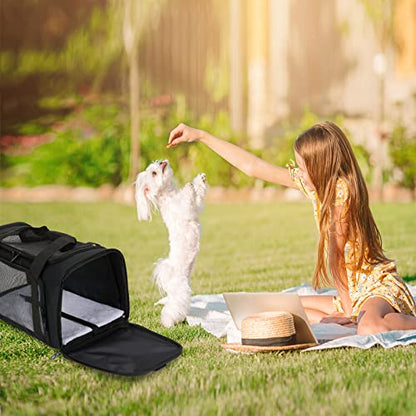 Pnimaund Pet Carrier - Airline Approved Soft Cat & Dog Carriers for Medium & Small Pets, TSA Approved, Black