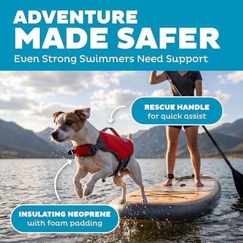 Outward Hound Dawson Swim Red Dog Life Jacket, Small - color: Red, size: Small (Chest Girth: 16"-20")