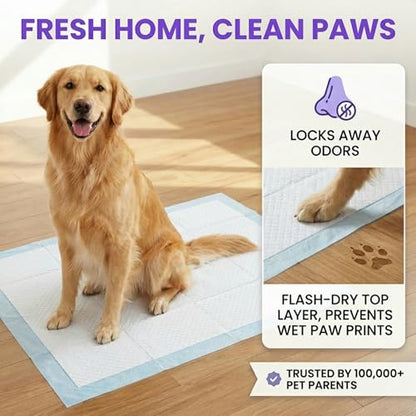 BV Puppy Pads XL 40 Count 34"x28" - Leak-Proof Pee Pads for Dogs with 6-Layer Design, Rapid Dry Sheet & Attractant - Dog Pad Extra Large with Odor Control - Perfect for Big Dogs & Indoor Use - size: XL / 40-Count (Standard)