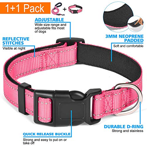 Ladoogo Reflective Dog Collar Padded with Soft Neoprene Breathable Adjustable Nylon Dog Collars for Small Medium Large Dogs (X-Small (Pack of 1), Pink Collar+Leash) - color: Pink Collar+Leash, size: X-Small (Pack of 1)