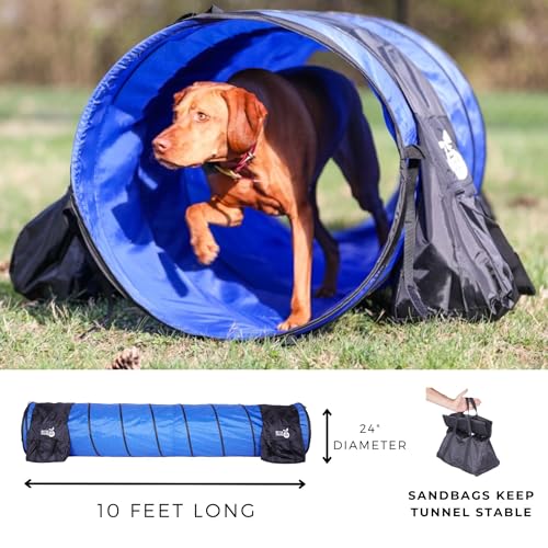Better Sporting Dogs Complete Starter Agility Set for Dogs, 5 Piece | Agility Jump, Tire Jump, Weave Poles, 10' Tunnel with Sandbags, Pause Box