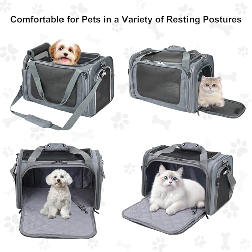 EliteField Deluxe Soft-Sided Pet Carrier (3 Year Warranty, Airline Approved), Travel Bag for Dogs, Cats & Small Pets, with Expandable Mat - color: Gray, size: Medium: 18"L x 11"W x 11"H