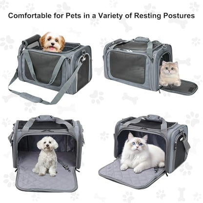 EliteField Deluxe Soft-Sided Pet Carrier (3 Year Warranty, Airline Approved), Travel Bag for Dogs, Cats & Small Pets, with Expandable Mat - color: Gray, size: Medium: 18"L x 11"W x 11"H