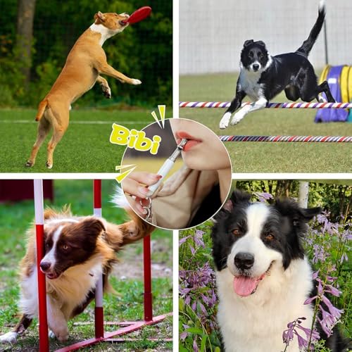 Dog Whistle to Stop Barking Neighbors Dog Adjustable Ultrasonic Silent Dog Whistle, Professional Recall Dog Training Whistleswith Lanyard ，2 Pack Dog Whistle.