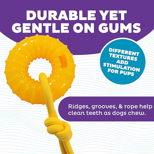 Outward Hound Gummiez Peach Ring 2-in-1 Dental Dog Chew Toy and Treat Stuffer Game, Peach Scent - color: Gummiez Peach Ring