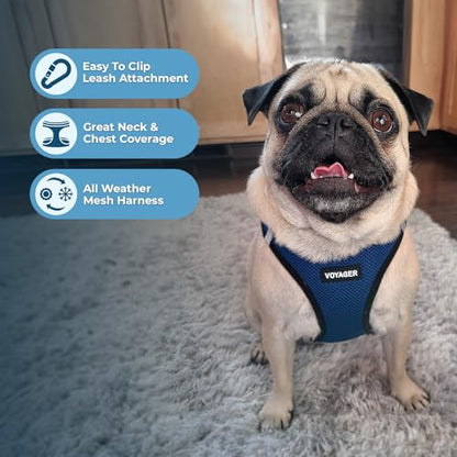 Voyager Step-in Air All Weather Mesh Harness and Reflective Dog 5 ft Leash Combo with Neoprene Handle, for Small, Medium and Large Breed Puppies by Best Pet Supplies - Blue, XX-Small - color: Leash Harness Set (Blue Base), size: XXS (Chest: 11.5 - 13" * F