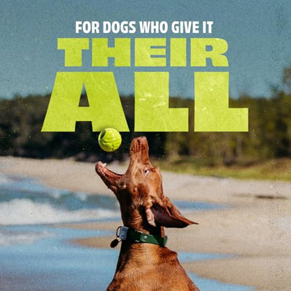 Benebone Natural Rubber Dog Ball - size: 1 Pack, style: Ball