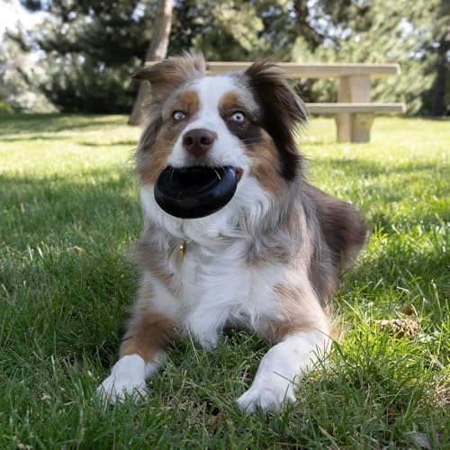 KONG Extreme Donut Dog Toy – Toughest Durable Natural Rubber Chew Toy for Power Chewers – Safe on Teeth & Gums, Fun Bounce & Roll for Indoor and Outdoor Play (Medium/Large) - size: (Medium/Large)