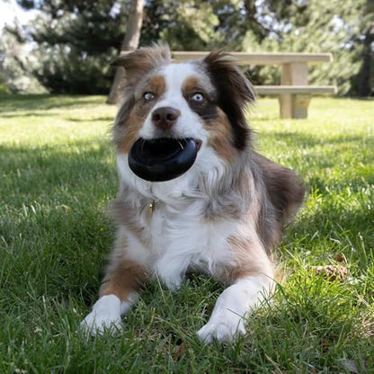KONG Extreme Donut Dog Toy – Toughest Durable Natural Rubber Chew Toy for Power Chewers – Safe on Teeth & Gums, Fun Bounce & Roll for Indoor and Outdoor Play (Medium/Large) - size: (Medium/Large)