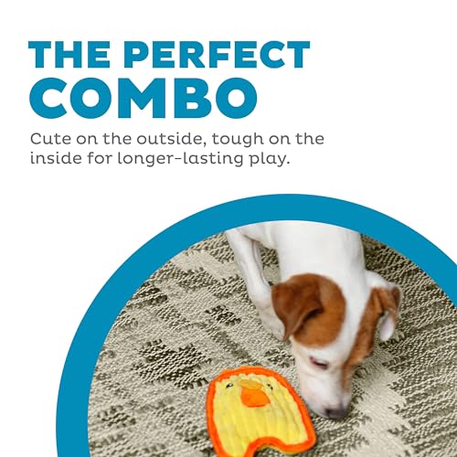Outward Hound Durablez Minis Stuffing-Free Squeaky Plush Dog Toy for Puppies & Small Dogs - Interactive, Soft Yet Tough, No Mess, Jumbo Squeaker, Long-Lasting Play, Chicken - color: Chicky, size: X-Small