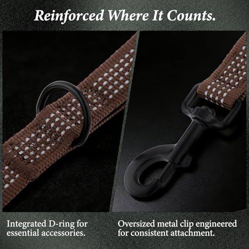 Double Handle Dog Leash 6 FT Reflective 2 Handle Traffic Lead with Padded Grip, Heavy Duty Nylon Leash for Walking Training, for Small Medium Large Dogs, Chocolate - color: Chocolate