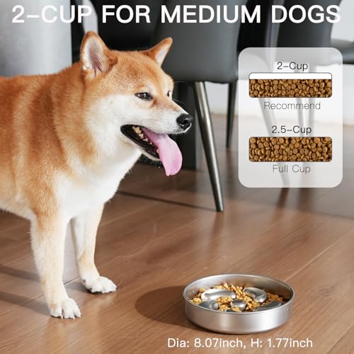 Slow Feeder Dog Bowl-2Cups for Medium Breeds, Double Wall Food-Grade Stainless Steel, Heavy Duty with Non-Slip Rubber Base, Puzzle Maze Bowl to Slow Down Eating - color: Spiral-1Pack, size: M 2~2.5Cups