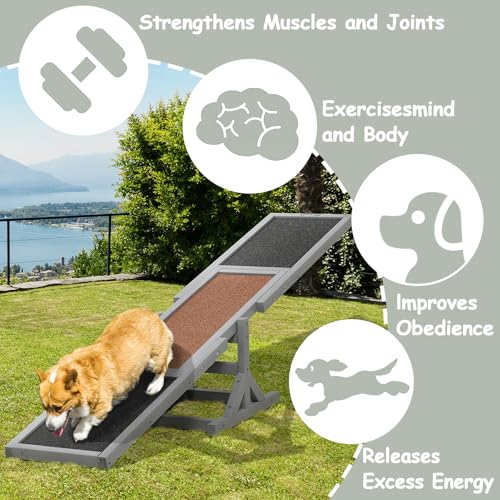 71" Wooden Dog Agility Seesaw for Training and Exercise - Outdoor Dogs Seesaw for Advanced Dog Obstacle Courses, Dogs Agility Ramp Training Platform Equipment (Gray)
