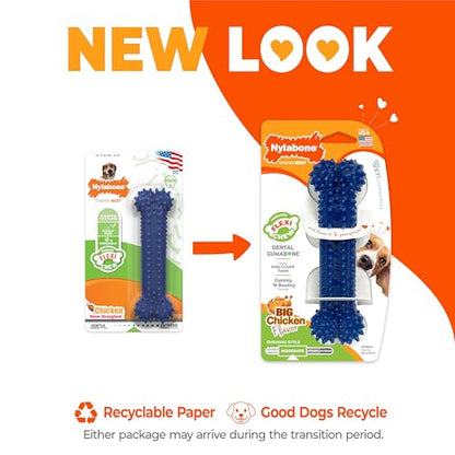 Nylabone Textured Dental Bone Flexi Chew Toy for Dogs, Dog Toys for Moderate Chewers, Chicken Flavor, Medium - Up to 35 lbs, 1 Count - size: Medium