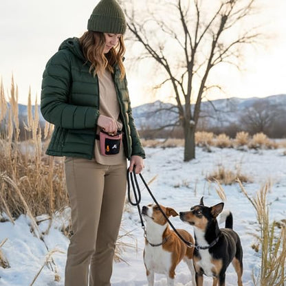 OllyDog, Goodie Treat Bag, Dog Treat Training Pouch | Magnetic Closure | 3 Ways to Wear | Hands-Free Waist Belt | Water-Resistant Recycled Vegan Fabric (Desert) - color: Desert