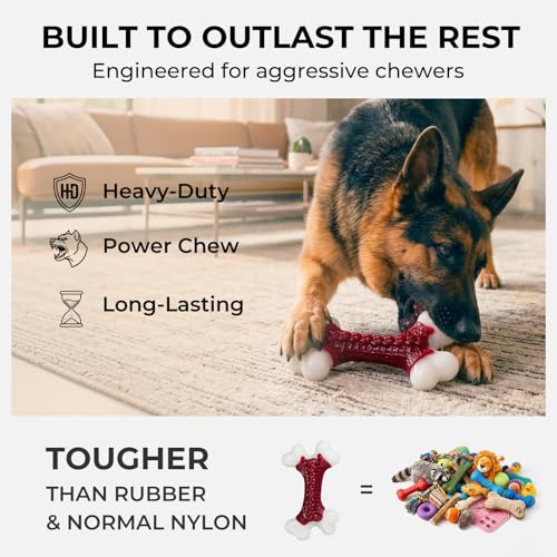 Kseroo 2-Pack Dog Toys for Aggressive Chewers Medium/Large Breed, 8-Inch Solid Nylon Dog Chew Bones, Beef Flavored Tough Dog Toys for 20-90lb Dogs, Red - color: 2PC-Beef-Red