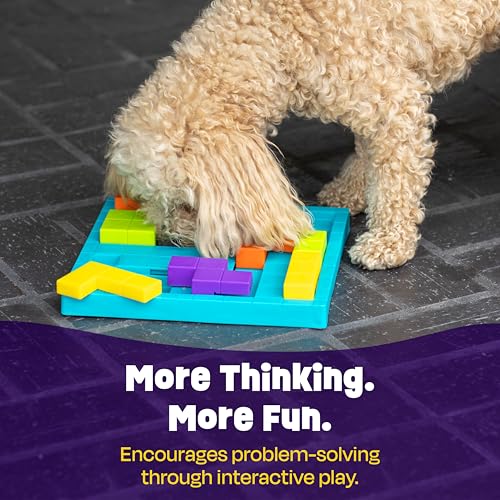 Brightkins Brain Teaser Treat Puzzle - Dog Puzzle Toys, Interactive Dog Toys, Gifts for Dogs - size: (Pack of 1)
