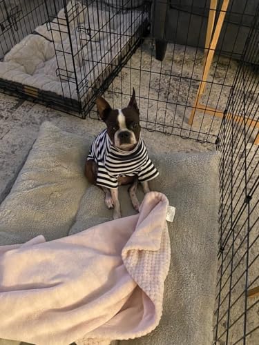 Turtleneck Dog Shirt Cute Doggie Embroidery Super Soft Dog Sweatshirt Stretchy Striped Puppy Pullover for Cats Small Medium Large Dogs (Black Striped, Large) - color: Black Striped, size: Large
