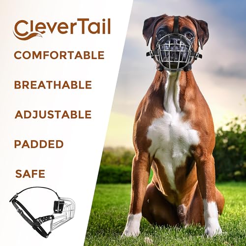 Metal Muzzle for Boxer Dog Breed – Bite Proof Boxer Muzzle for Medium and Large Sized Dogs – Steel Wire Basket Muzzles for Dogs English Bulldog, American Bulldog etc. - size: Medium