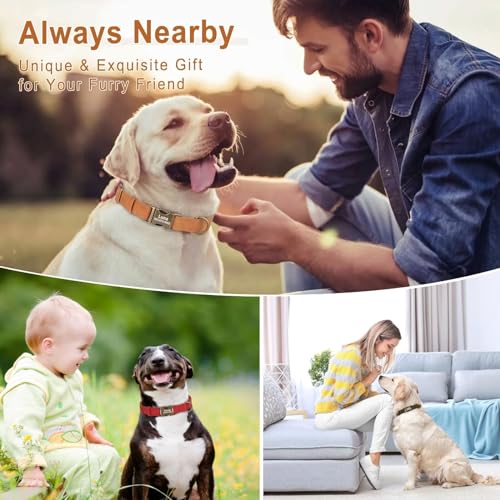 Personalized Dog Collars for Small Dogs, Custom Soft PU Leather Dog Collar with Engraved ID Name and Number, Adjustable & Durable Pet Collars with Quick Release Metal Buckle,S(10-16") - color: Deep Green-Engraving, size: Small: Fit 10-16" Neck