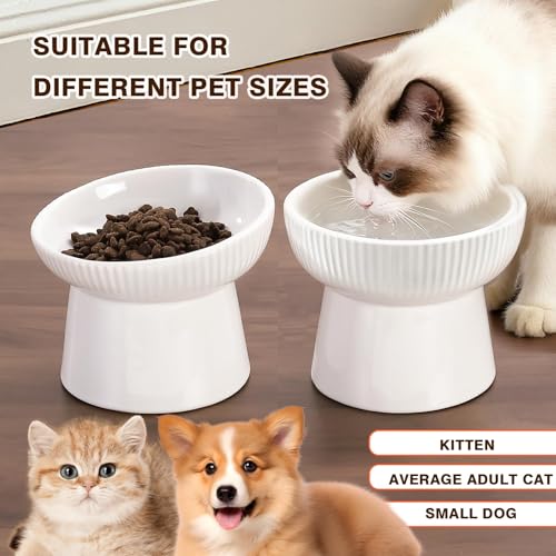 Elevated Cat Food Bowl, Ceramic Raised and Tilted Water Bowl, Whisker Fatigue Cat Bowls for Indoor Cats, Anti Vomiting and Protect Spines Pet Feeding Dishes for Kittens Small Dog, Heavy Non-Slip Base - color: White