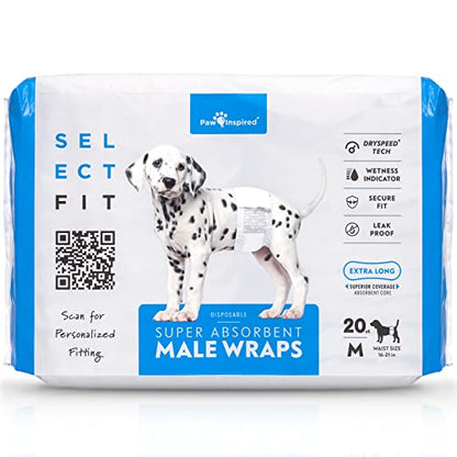Paw Inspired Select Fit Male Dog Diapers, Disposable Male Wraps with Wetness Indicator| Belly Bands for Small, Medium, Large Dogs (Medium, 20 Count) - size: Medium