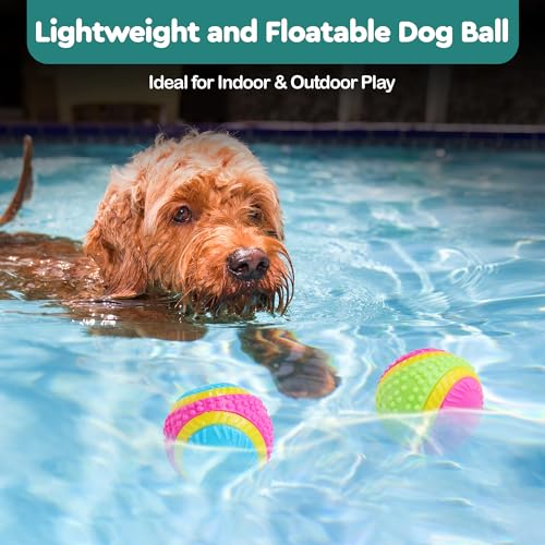 SPOT Sensory Ball for Soft Chewers - Stimulates All 5 Senses, Bell & Squeaker Sounds, Raised Nubs Clean Teeth, High Contrast Fetch Toy, Beef Scented, Durable TPR Rubber Ball, 2.5-inch - size: 2.5 inch (Pack of 1)