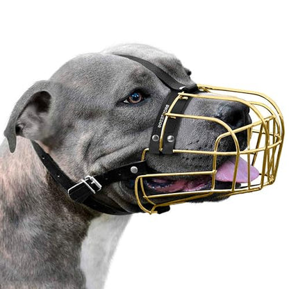 BRONZEDOG Pitbull Dog Muzzle Metal Mask Amstaff Wire Basket Pit Bull Adjustable Leather Straps for Large Dogs (Gold) - color: Leather, Gold