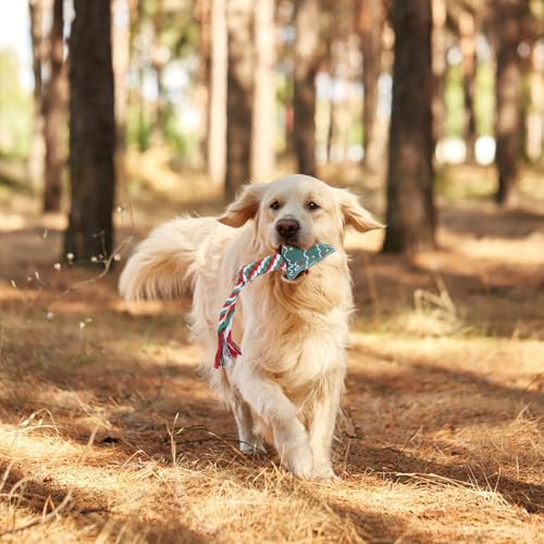 Kichvoe Christmas Dog Chew 4pcs Set Plush Teething Puppy with Knotted Rope for Dental Cleaning and Training, Portable Interactive Household Dog for Puppies