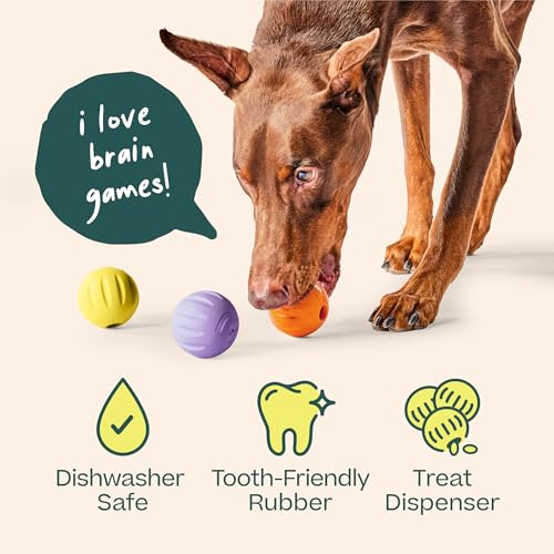 WOOF Flyball - 2-in-1 Fetch Ball and Dog Treat Dispenser Toy - Interactive Puzzle for Enrichment - Fits Standard Ball Launchers - Durable, Tooth-Friendly Rubber - The Perfect Dog Gift - 3 Pack