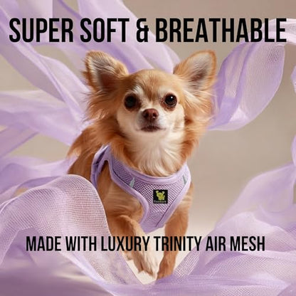EcoBark Teacup Dog Harness - Step in Luxury Dog Harnesses for Teacup Breed Dogs - Reflective and Adjustable Mini Body Halter Vest -Tiny Soft Mesh Toy Breed Harness (Lavender, XXS) - color: Lavender, size: XXS- 4 to 5 lbs- Chest Up to 11 in (Pack of 1)