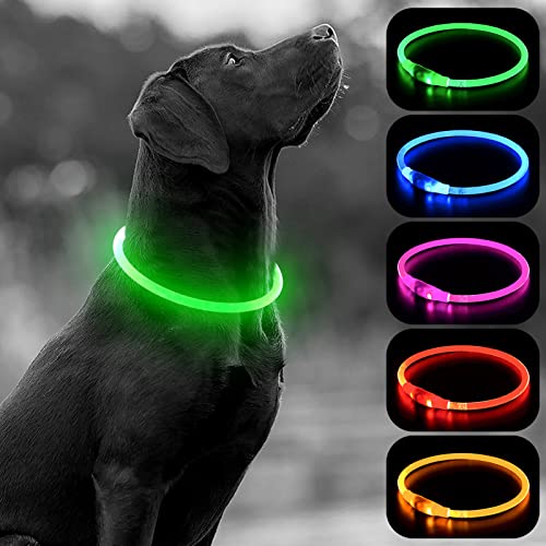 HIGO Light Up Dog Collars, USB Rechargeable LED Dog Collar, TPU Cuttable Dog Glow Collar, High Visibility Puppy Collar Safety Dog Lights for Night Walking(Green) - color: Green