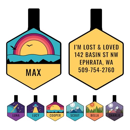GoTags Silent Dog Tag, Personalized Engraved Hexagon Silicone Pet ID Tag | Dog and Cat Name, Number Address or Message, 5 Lines Custom Text, Soundless No More Jingling Dog Tags (Beach Blue) - size: Hexagonal (Pack of 1), style: Beach Blue