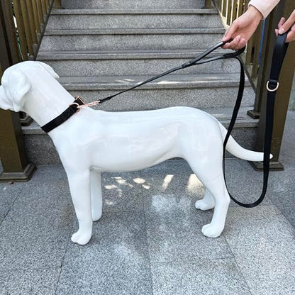 Dog Leash 6ft Long,Traffic Padded Two Handle,Heavy Duty,Double Handles Lead for Control Safety Training,Leashes for Large Dogs or Medium Dogs,Dual Handles Leads (Black, 25MM*6FT) - color: Black