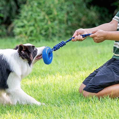 Dog Toys Squeaky - Spiky Ring for Chewers Dog Teething Toy with Rope, Squeaky Puppy Teething Spikey Glitter Ring Chew Toy, Aggressive Chew Indestructible for Puppy Teething Boredom Relief (Green 2) - color: Green 2