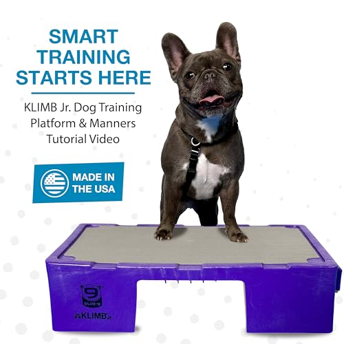 Blue-9 KLIMB Jr. Professionally Designed Dog Training Platform and DIY Guide for Behavior Basics, Made in The USA, Purple - color: Purple