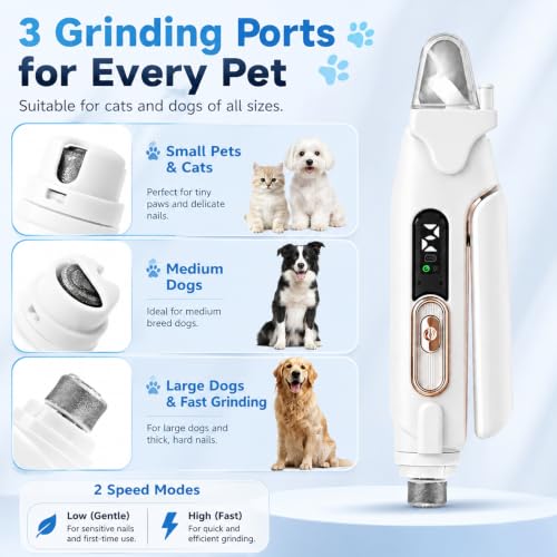 2-in-1 Dog Cat Nail Clippers & Grinder with LED Light, Pet Nail Trimmer with Splash Guard & Safety Lock, 2 Speeds USB Rechargeable Quiet Paw Nail Cutter for Large Medium Small Dogs Cats (Green) - color: Green