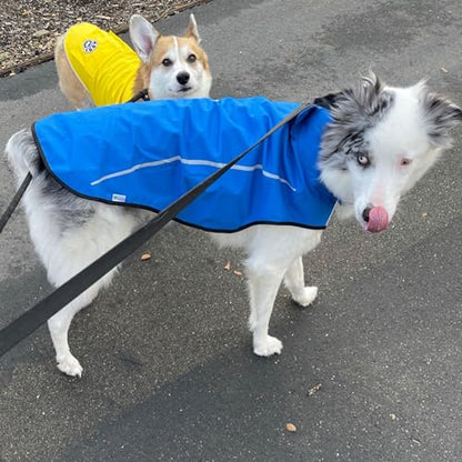 Mile High Life Dog Raincoat, Adjustable Waterproof Reflective Rain Jacket for Small Medium Large Dogs, Lightweight Breathable Pet Rain Coat with Leash Hole(Blue,XXS Chest 16-19") - color: Blue, size: XXS Chest 16"-19"