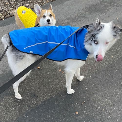 Mile High Life Dog Raincoat, Adjustable Waterproof Reflective Rain Jacket for Small Medium Large Dogs, Lightweight Breathable Pet Rain Coat with Leash Hole(Blue,XS Chest 17-23") - color: Blue, size: XS Chest 17"-23"